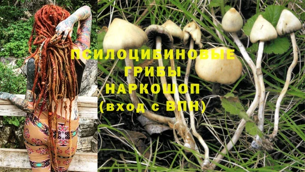 тгк Баксан